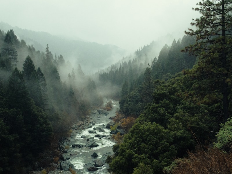 بناء علاقات صحية والتواصل الفعال