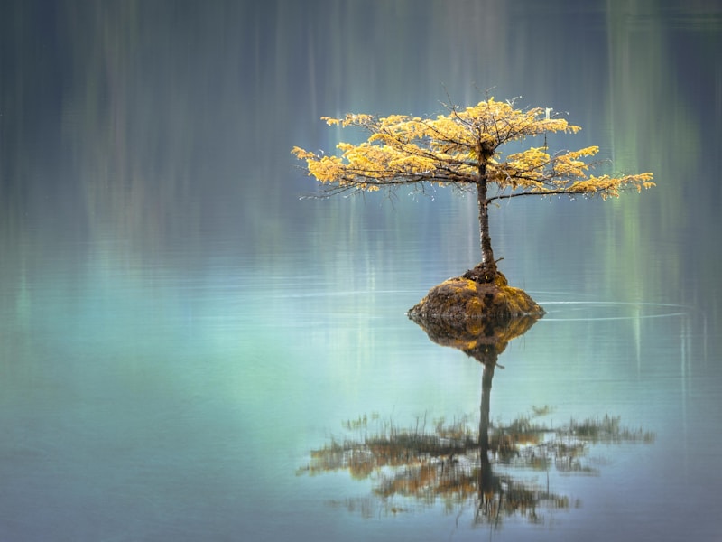 اليقظة الذهنية والتأمل للسلام الداخلي